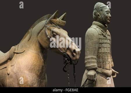 Museo i Guerrieri di Terracotta Cavalryman con la sua sellati War-Horse Mausoleo del primo imperatore di Qin Xian Provincia di Shaanxi Cina Foto Stock