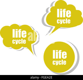 Ciclo di vita. Set di adesivi, etichette tag. Modello per infographics Foto Stock