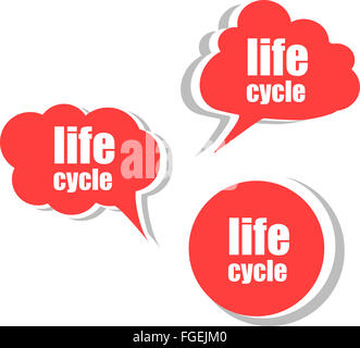 Ciclo di vita. Set di adesivi, etichette tag. Modello per infographics Foto Stock