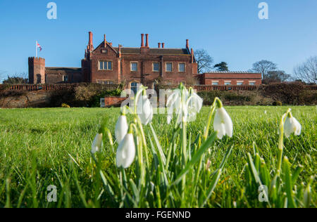 Snowdrops a Hodsock Priory, Blyth Worksop Nottinghamshire England Regno Unito Foto Stock