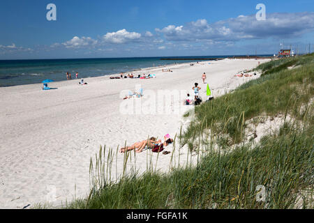 Spiaggia di sabbia e dune di sabbia, Skanör Falsterbo, Falsterbo Penisola, Skåne (Scania), a sud della Svezia, Svezia, Scandinavia, Europa Foto Stock