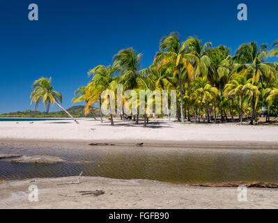 Carrillo spiaggia nei pressi di Samara, Costa Rica Foto Stock