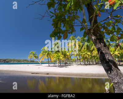 Carrillo spiaggia nei pressi di Samara, Costa Rica Foto Stock