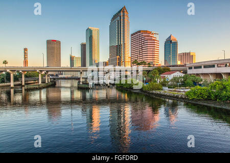 Collegare Tampa Bay