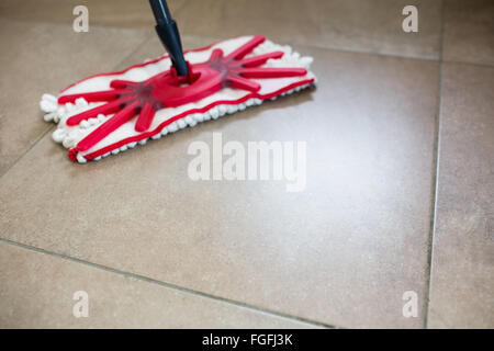 Vista di un mop Foto Stock