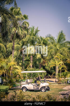Club carrello tra le palme sulla riviera Maya in Playa del Carmen Foto Stock