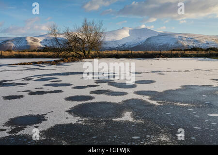 Un Congelato stagno su Mynydd comune Illtud Parco Nazionale di Brecon Beacons in inverno. Foto Stock