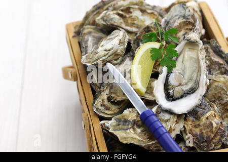 Ostriche fresche piastra isolata su bianco sullo sfondo di legno Foto Stock
