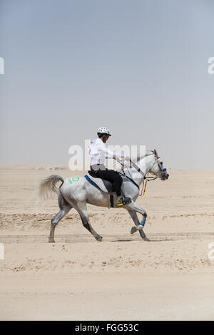 Cavallo e cavaliere competere in corse endurance, CHI Al Shaqab 2014 Foto Stock