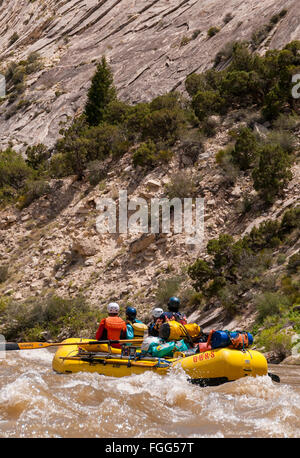 Rafting attraverso il gruppo sezione di montagna, Green River Canyon, Dinosaur National Monument, Utah. Foto Stock