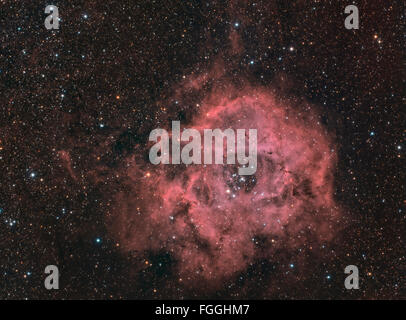 La Rosetta Nebula - nebulosa e open cluster nella costellazione del Monoceros Foto Stock