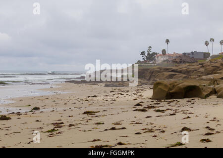 La Jolla Beach a San Diego in California durante l inverno con grandi onde durante un forte rigonfiamento del sud. Foto Stock