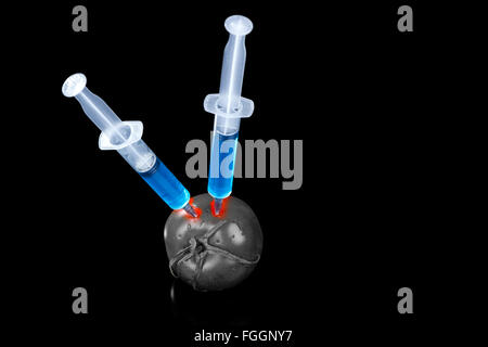 Organismi geneticamente modificati il pomodoro verdure vaccino su sfondo nero Foto Stock