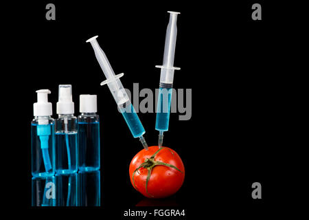 Organismi geneticamente modificati il pomodoro verdure vaccino su sfondo nero Foto Stock