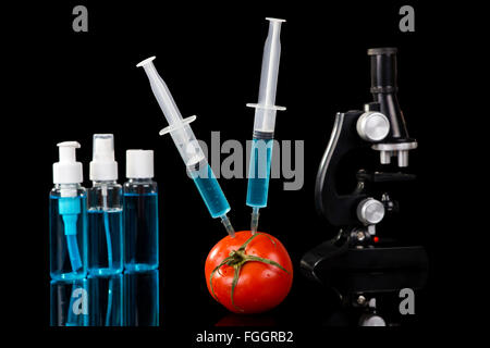 Organismi geneticamente modificati il pomodoro verdure vaccino su sfondo nero Foto Stock