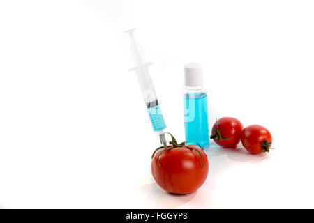 Organismi geneticamente modificati il pomodoro verdure vaccino su sfondo bianco Foto Stock