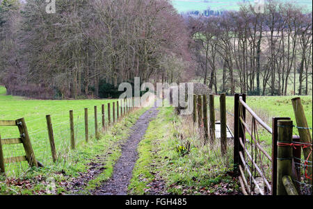 Un sentiero tra i campi recintati in The Chiltern Hills in Inghilterra Foto Stock