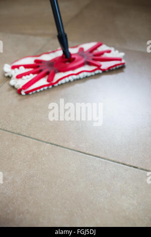 Vista di un mop Foto Stock