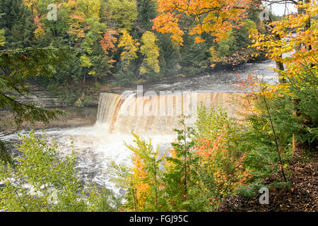 Tomaia Tahquamenon Falls che imperversa lungo il fiume Tahquamenon Dopo forti piogge autunnali. Foto Stock