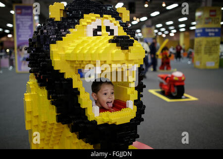 Bogotà, Colombia. 19 Feb, 2016. Un ragazzo pone con una figura fatta con blocchi di Lego al Lego Fest, a Bogotà, Colombia, il 19 febbraio, 2016. Secondo la stampa locale, la Lego Fest è detenuto dal febbraio 19 al 13 marzo a Bogotà, con repliche di diversi personaggi realizzati con blocchi di Lego. © Jhon Paz/Xinhua/Alamy Live News Foto Stock