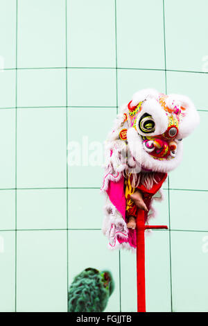 Anno Nuovo Cinese Phnom Penh Dragon ballerini eseguono nelle strade Foto Stock