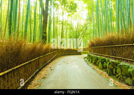 Svuotare la piegatura, la torsione sentiero strada fiancheggiata con alti alberi di bambù e il fieno recinzione al mattino presto nella Arashiyama Boschetto di bambù per Foto Stock