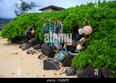 Nautica e marine galleggianti e funi lavare a riva di vasca da bagno Beach sulla North Shore di Oahu Hawaii. Foto Stock