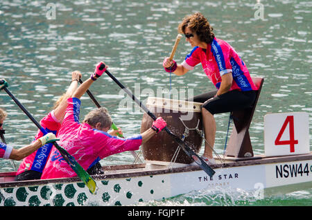 Sydney, Australia - 20 Febbraio 2016: Anno Nuovo cinese ha celebrato a Sydney con un Dragon Boat regata che ha avuto luogo nel sobborgo di Sydney Darling Harbour. Credito: mjmediabox/Alamy Live News Foto Stock