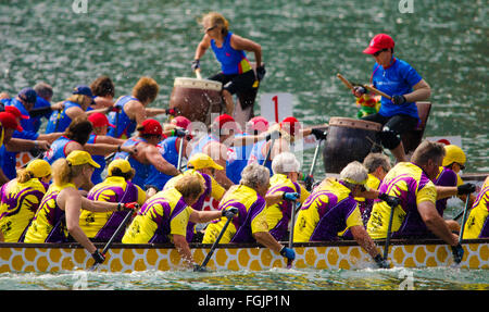 Sydney, Australia - 20 Febbraio 2016: Anno Nuovo cinese ha celebrato a Sydney con un Dragon Boat regata che ha avuto luogo nel sobborgo di Sydney Darling Harbour. Credito: mjmediabox/Alamy Live News Foto Stock