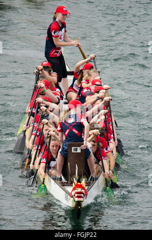 Sydney, Australia - 20 Febbraio 2016: Anno Nuovo cinese ha celebrato a Sydney con un Dragon Boat regata che ha avuto luogo nel sobborgo di Sydney Darling Harbour. Credito: mjmediabox/Alamy Live News Foto Stock