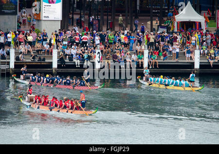 Sydney, Australia - 20 Febbraio 2016: Anno Nuovo cinese ha celebrato a Sydney con un Dragon Boat regata che ha avuto luogo nel sobborgo di Sydney Darling Harbour. Credito: mjmediabox/Alamy Live News Foto Stock