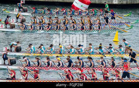 Sydney, Australia - 20 Febbraio 2016: Anno Nuovo cinese ha celebrato a Sydney con un Dragon Boat regata che ha avuto luogo nel sobborgo di Sydney Darling Harbour. Credito: mjmediabox/Alamy Live News Foto Stock