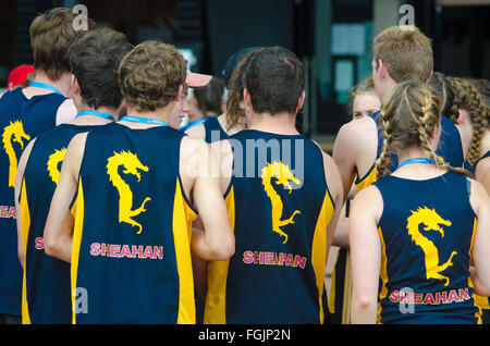 Sydney, Australia - 20 Febbraio 2016: Anno Nuovo cinese ha celebrato a Sydney con un Dragon Boat regata che ha avuto luogo nel sobborgo di Sydney Darling Harbour. Credito: mjmediabox/Alamy Live News Foto Stock