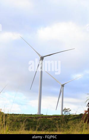 Energia verde viene memorizzato fino a questo enorme parco eolico dove linea di turbine sulle colline in Oahu Hawaii. Sviluppo sostenibile e fonti di energia rinnovabili Foto Stock