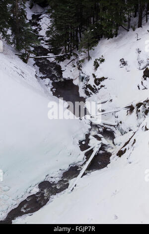 Scena invernale di Salt Creek vicino alla famosa Salt Creek Falls cascate della Willamette Pass. Foto Stock