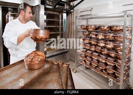 Chef pasticcere, toglie il panettone dal forno cucinato al momento Foto Stock