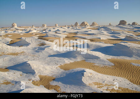 Sabbia e calcare bianco cercando come il ghiaccio in un mare di sabbia (la luce del mattino), White Desert, Egitto Foto Stock