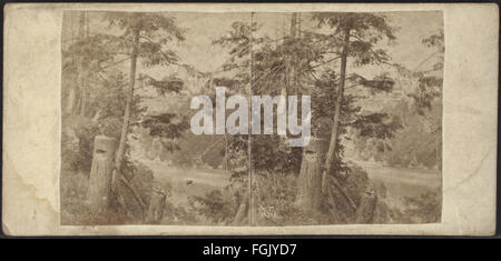 Questa immagine di E. & H.T. Anthony mostra una vista dal lato canadese del Ponte sospeso delle Cascate del Niagara, catturando il paesaggio e la struttura. Foto Stock