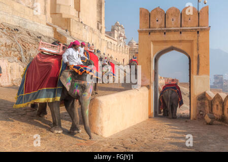 Corsa su elefante, Forte Amer, Jaipur, Rajasthan, India Foto Stock