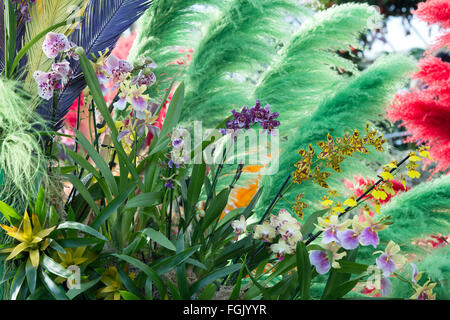 Orchid festival display interno i principi del Galles al Conservatorio botanico di Kew Gardens. Londra, Regno Unito Foto Stock