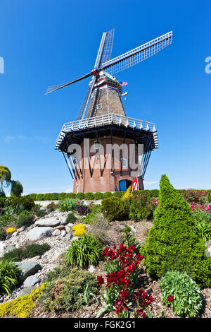 Il mulino a vento di legno dai Paesi Bassi si erge tra i tulipani e di altri tipi di vegetazione sulla isola di Mulino a vento - Holland Michigan Foto Stock