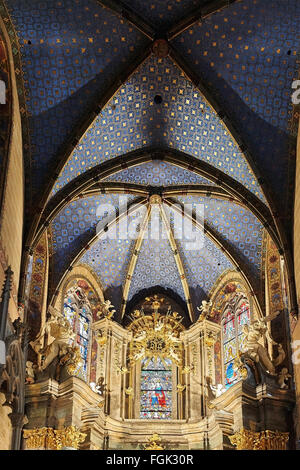 LVIV, Ucraina - 16 gennaio 2016: piscina interna della Cattedrale latina. Lviv, Ucraina. Foto Stock