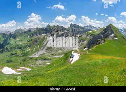 Paesaggio di montagna all'inizio dell'estate in Algovia Alpi con prati fioriti e ultima neve rimane. Foto Stock