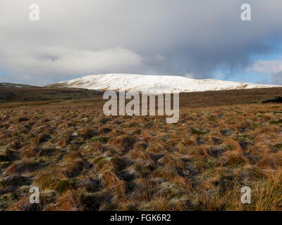 Paesaggio di Whernside nella neve Foto Stock