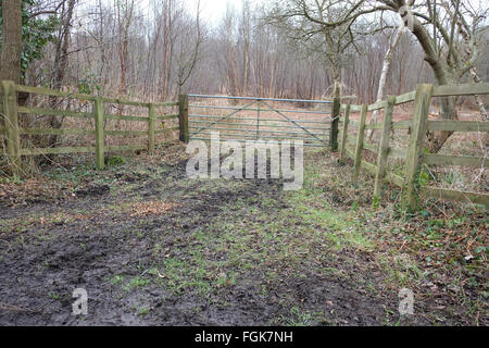 Gli inizi della ricreazione di un antica casa o capanna sulla Somerset livelli vicino Meare. Foto Stock