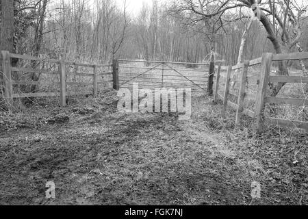 Gli inizi della ricreazione di un antica casa o capanna sulla Somerset livelli vicino Meare. Foto Stock