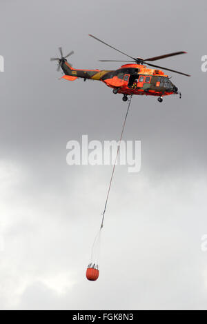 Spanish Air Force Eurocopter elicottero Cougar con un secchio di acqua per la lotta antincendio Foto Stock