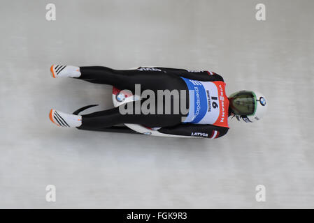 Winterberg, Germania. Xx Febbraio 2016. Eliza Cauce della Lettonia termina quarto nella donna monoposto evento presso la Coppa del Mondo di slittino a Winterberg, Germania, 20 febbraio 2016. Foto: CAROLINE SEIDEL/dpa/Alamy Live News Foto Stock