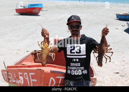 Rock lobster catture a Paternoster, Western Cape, Sud Africa Foto Stock