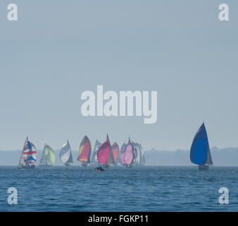 Un gruppo di yacht racing con pieno colorato colorato spinnaker su acque calme sotto un grande e chiaro blu cielo Solent, Cowes Week, REGNO UNITO Foto Stock